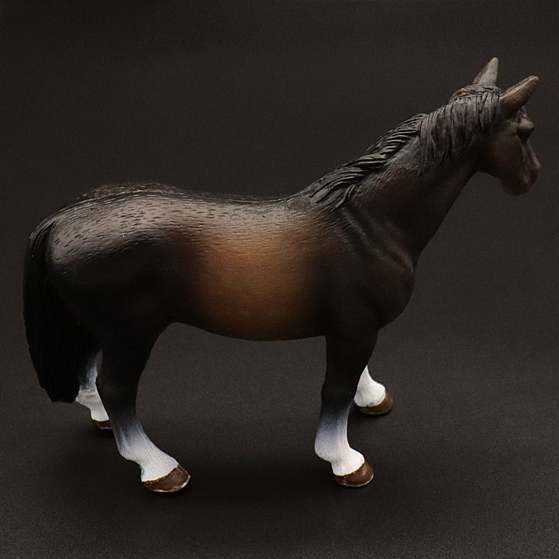 Clydesdale Hanoverian Quatema  – Kids First Education Bewertung und Preis