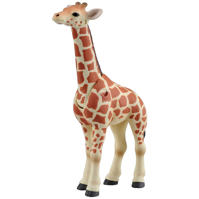 Original Takara Tomy Ania Gira – Kids First Education Bewertung und Preis